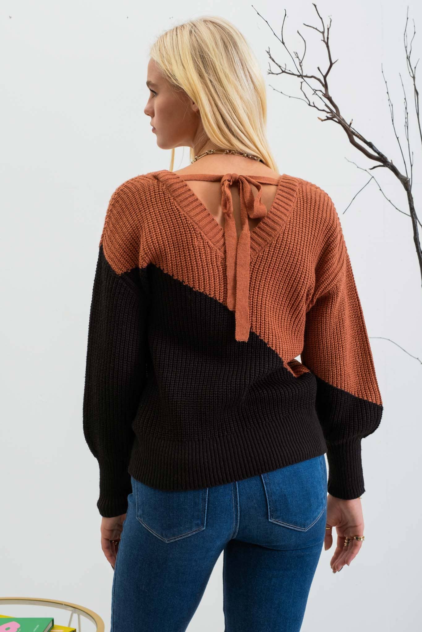 Savannah Color block sweater