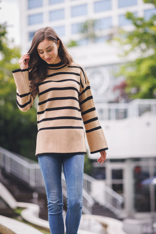 Knit Stripe High Neck Sweater