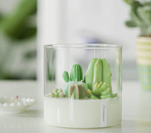 Large 3-wick Terrarium Candle | Soy blend