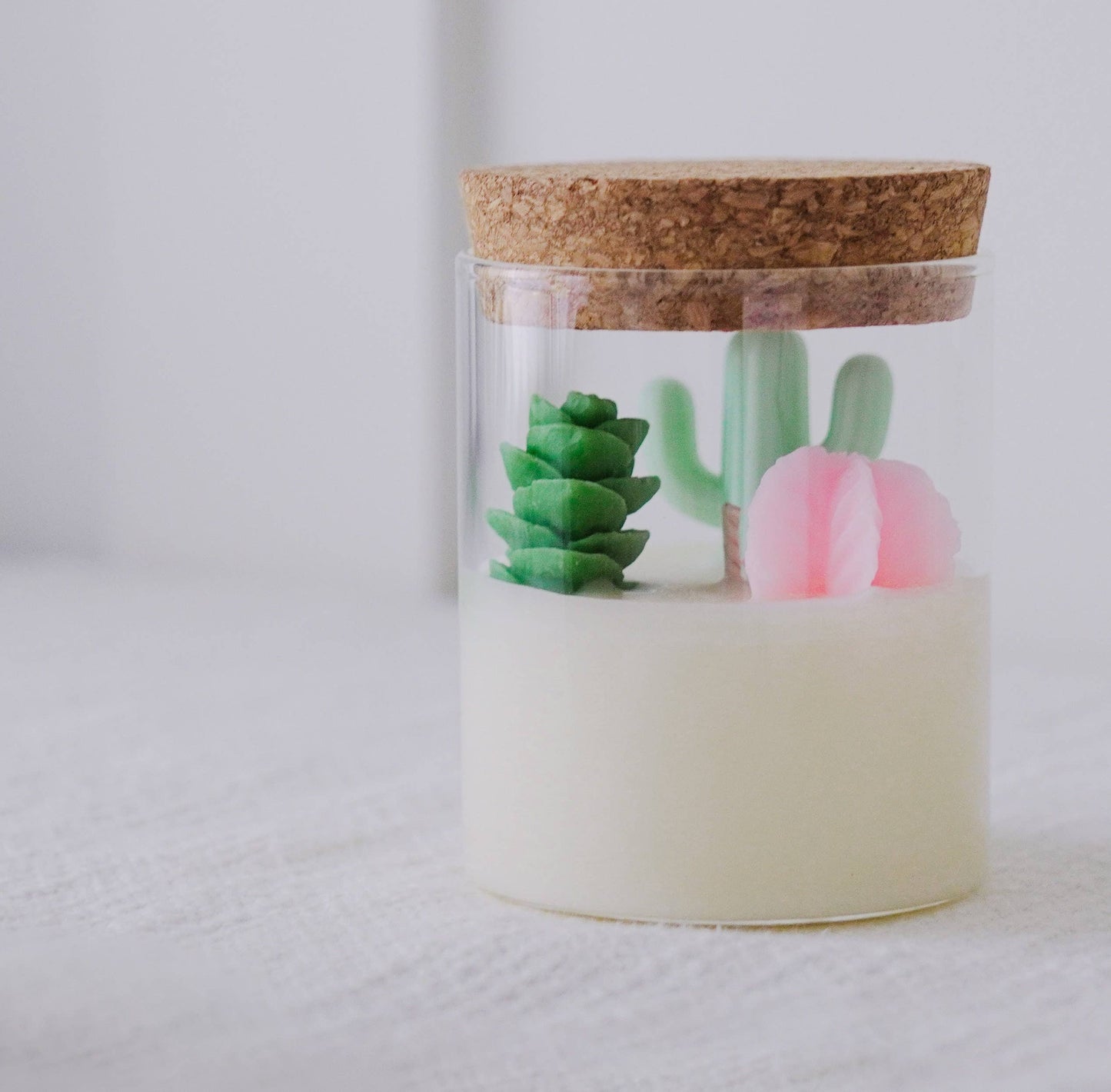 Cactus and Succulent Candle | Soy Blend Velvet Peach